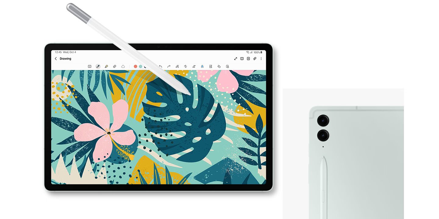 tab S9 fe plus
