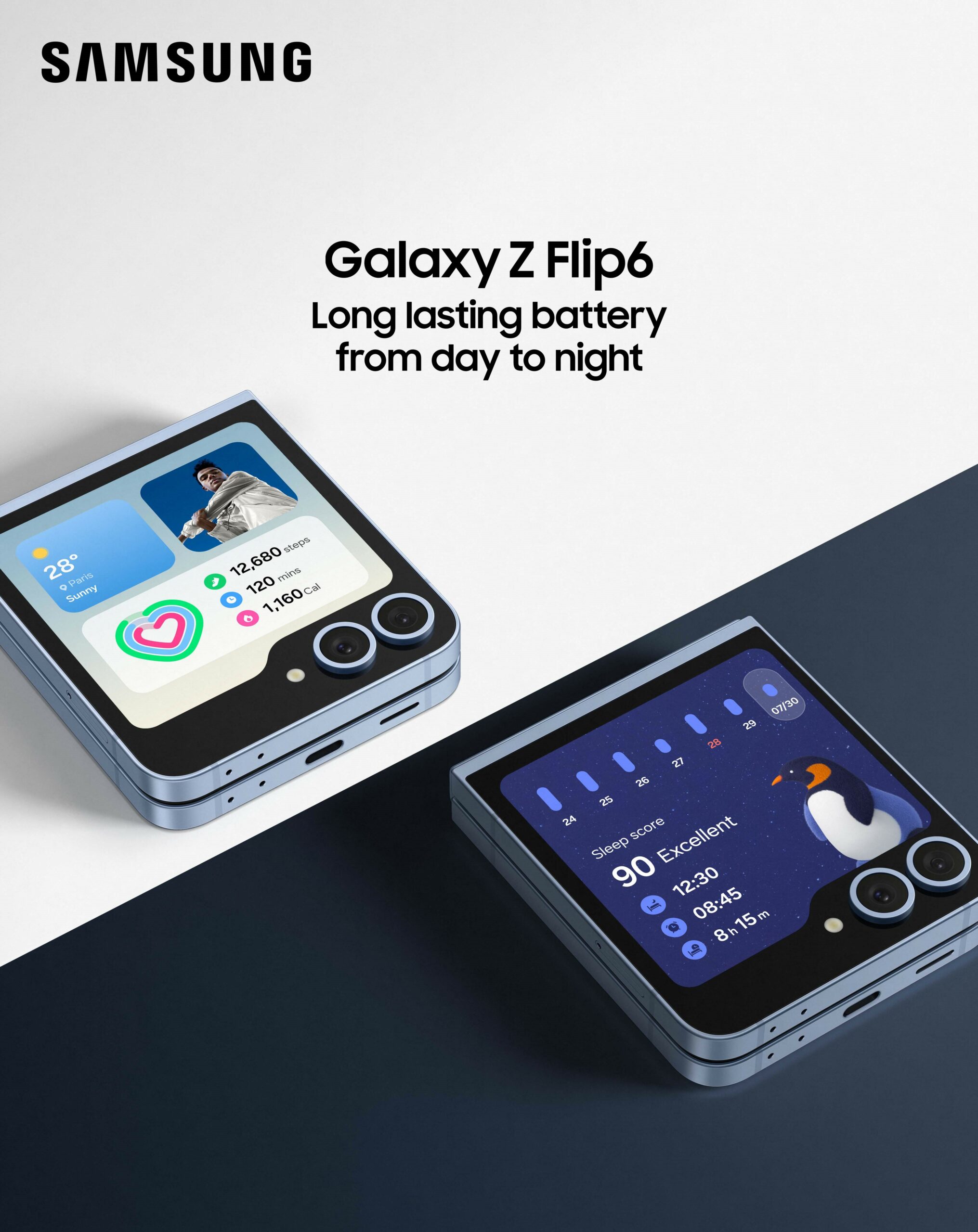 Samsung Galaxy Z Flip6 batterie