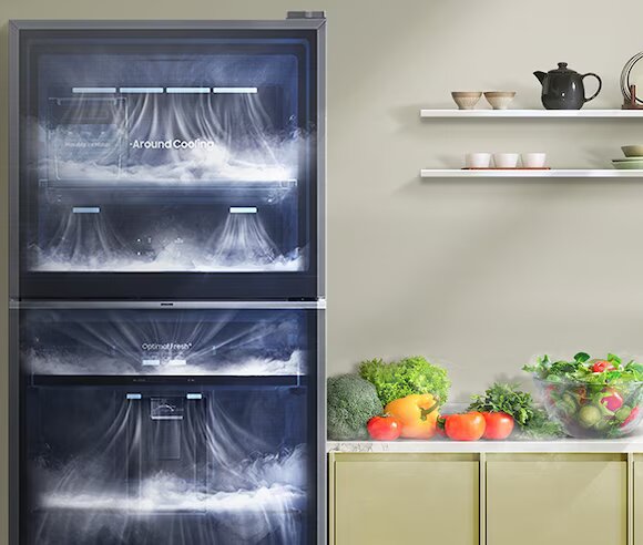 Réfrigérateur Samsung RT42 Nofrost 415L